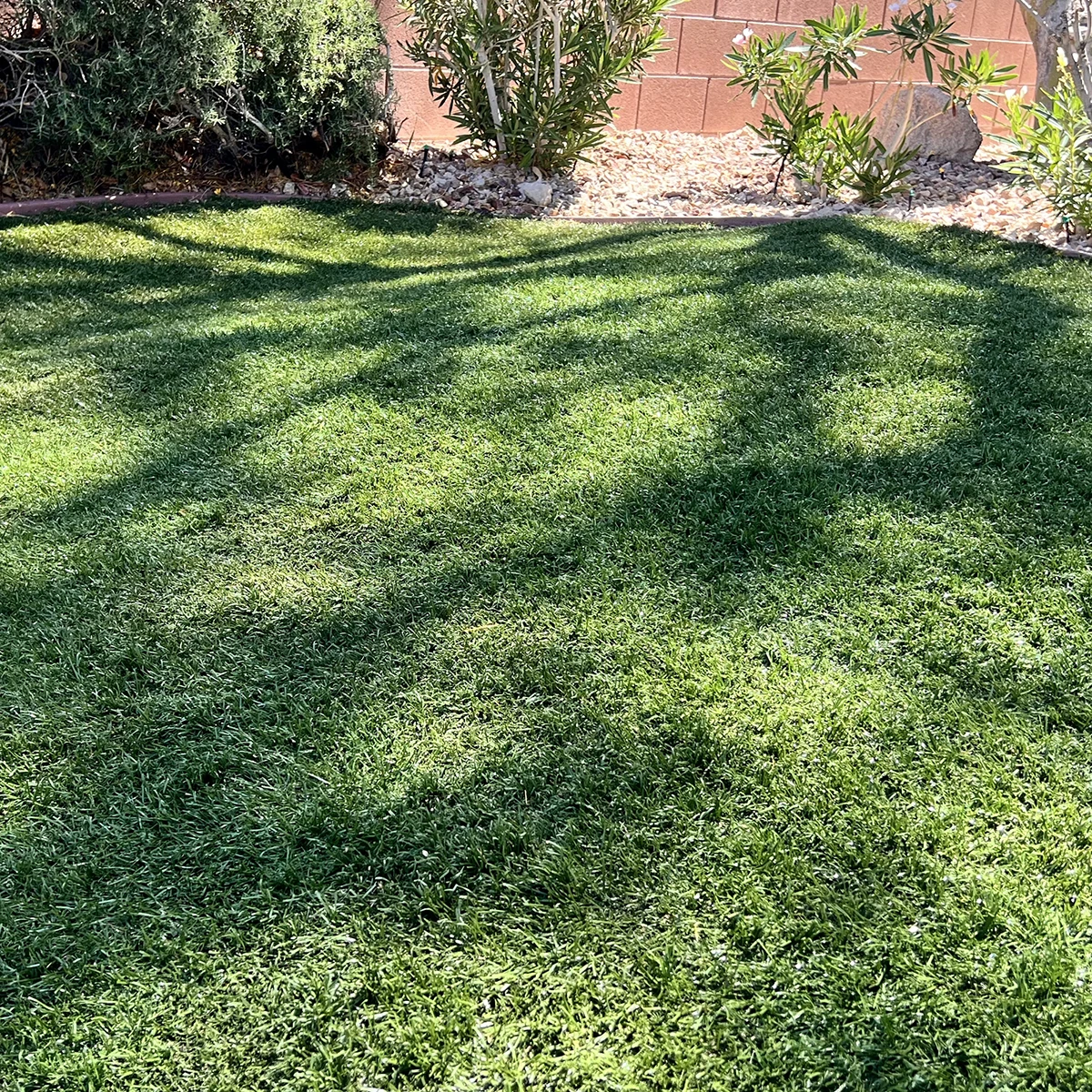 Job 2 after turf cleaning