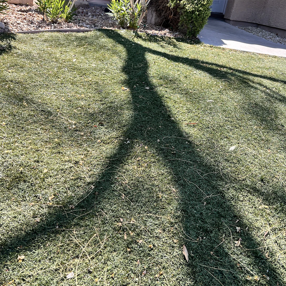 Job 2 before turf cleaning