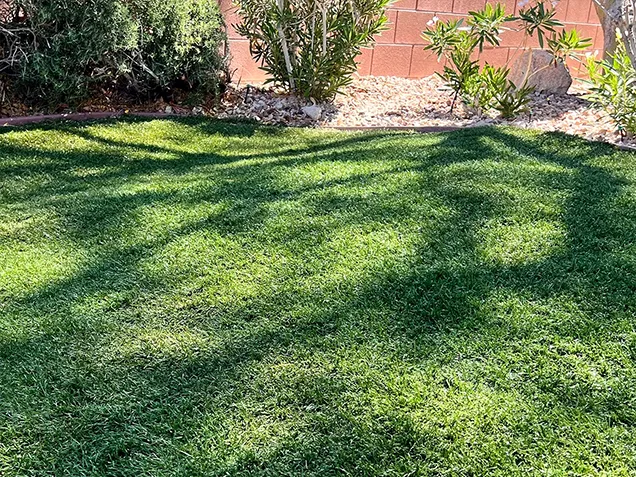 Job 2 after turf cleaning
